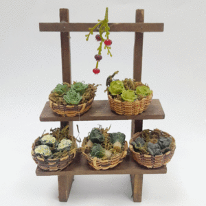 MESA HORTALIZAS 5 CAPAZOS 12*17