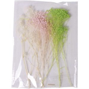 SEMILLA FLORAL TRICOLOR