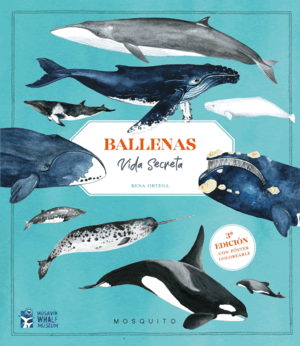 BALLENAS. VIDA SECRETA (3ª EDICION CON POSTER COLOREABLE)