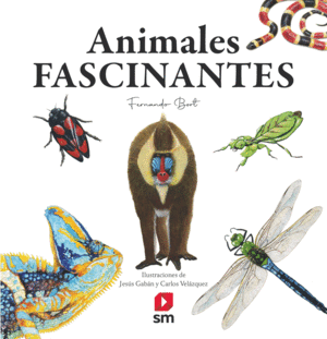 MI PRIMER LIBRO DE ANIMALES