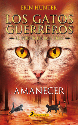 AMANECER (LOS GATOS GUERREROS