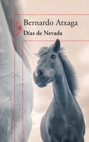 DÍAS DE NEVADA