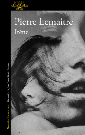 IRENE UN CASO DEL COMANDANTE CAMILLE VERHOEVEN 1