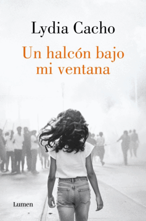 UN HALCON BAJO MI VENTANA