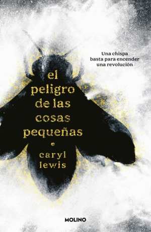 PELIGRO DE LAS COSAS PEQUEÑAS, EL