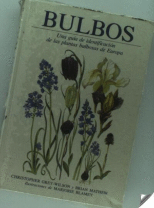 BULBOS