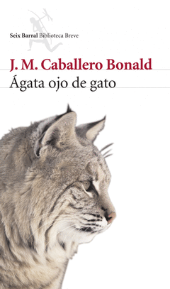 AGATA OJO DE GATO