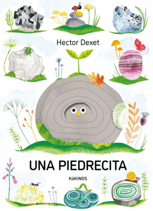 UNA PIEDRECITA